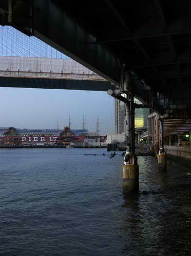 NYC_2012-11-21 06-41-56_P1070331